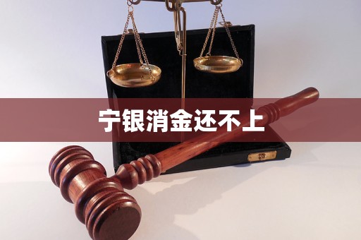宁银消金还不上