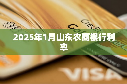 2025年1月山东农商银行利率