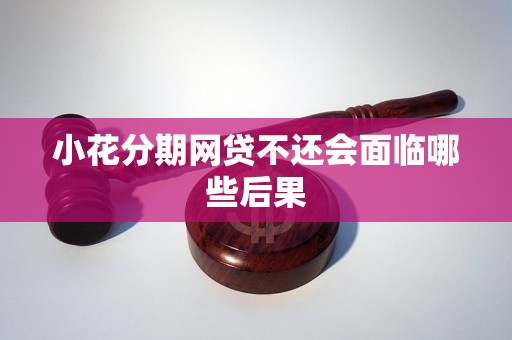 小花分期网贷不还会面临哪些后果