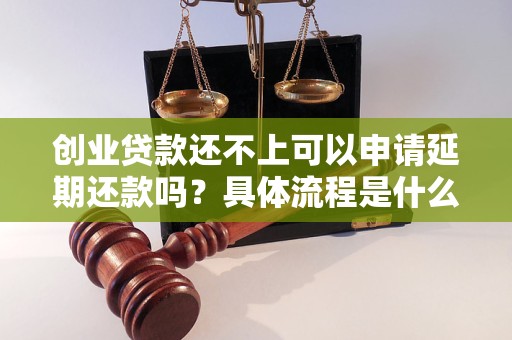 创业贷款还不了会怎么样(创业贷款还不了会怎么样处理)