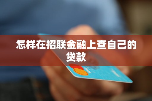 怎样在招联金融上查自己的贷款