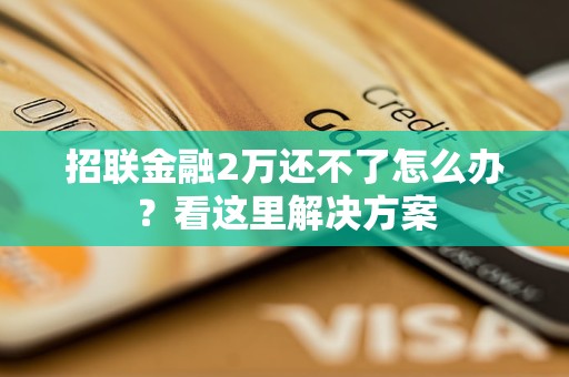 招联金融2万还不了怎么办？看这里解决方案