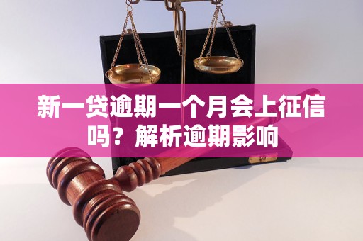 新一贷逾期一个月会上征信吗？解析逾期影响