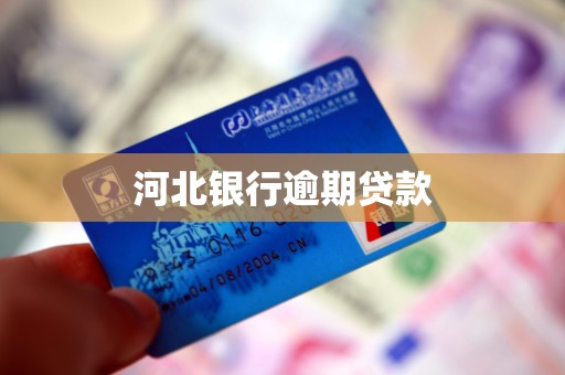 河北银行逾期贷款