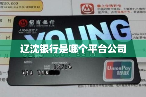 辽沈银行是哪个平台公司