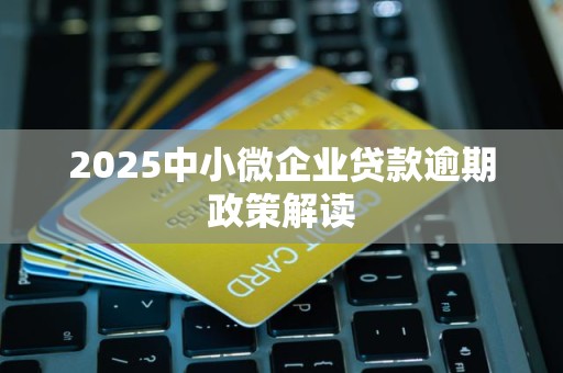 2025中小微企业贷款逾期政策解读