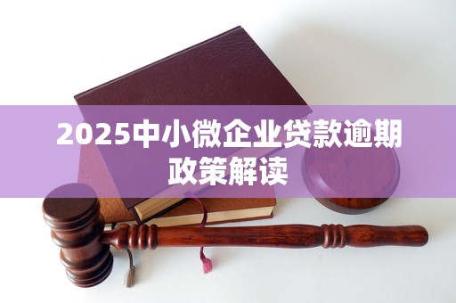 2025中小微企业贷款逾期政策解读