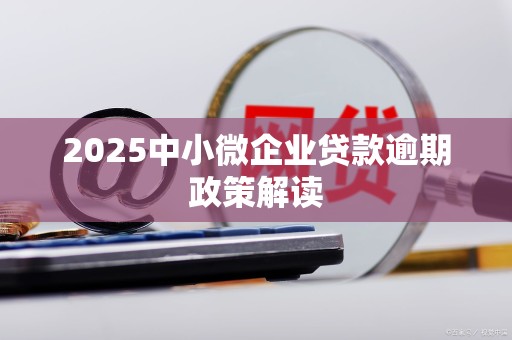 2025中小微企业贷款逾期政策解读
