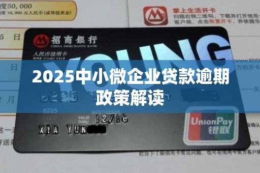 2025中小微企业贷款逾期政策解读