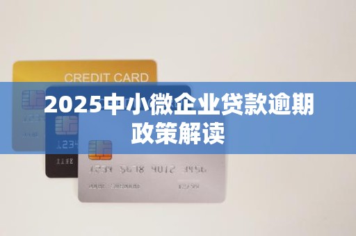 2025中小微企业贷款逾期政策解读