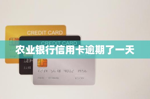 迟了一天还信用卡有影响吗(迟了一天还信用卡有影响吗怎么办)