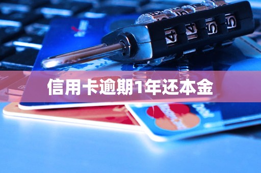 信用卡5000逾期一年现在还多少(信用卡5000逾期一年现在还多少钱)