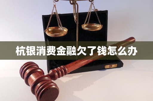 杭银消费金融欠了钱怎么办