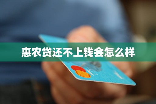 惠农贷还不上钱会怎么样