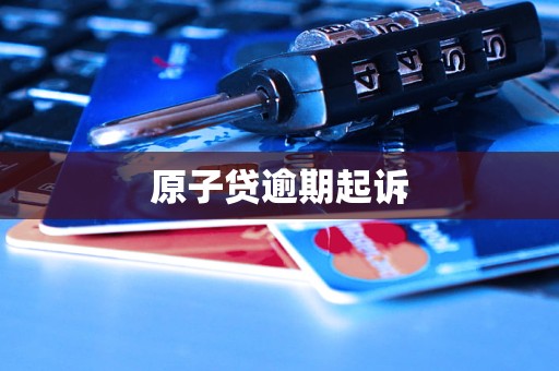 原子贷逾期起诉