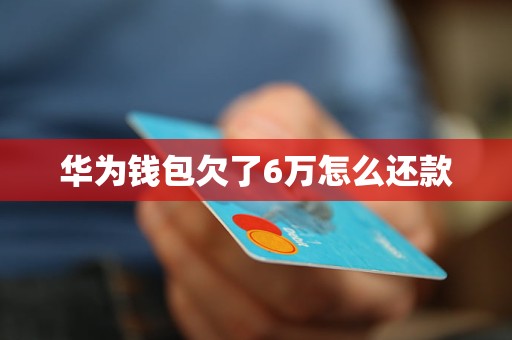 华为钱包欠了6万怎么还款